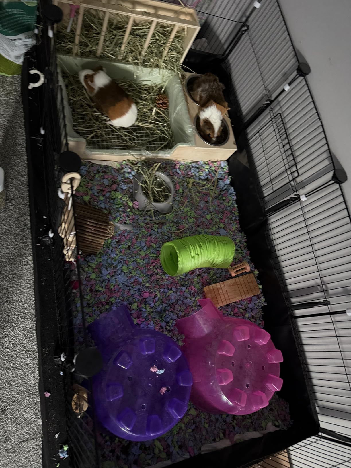 3-in-1 Steel Grids Rabbit Litter Box with Hay Feeder & Waste Collection - Bunny Toilet Training Kit, Large Plastic Potty for Rabbits, Guinea Pigs, Small Animals - Easy Clean, Durable, Odor Control customer photo 1