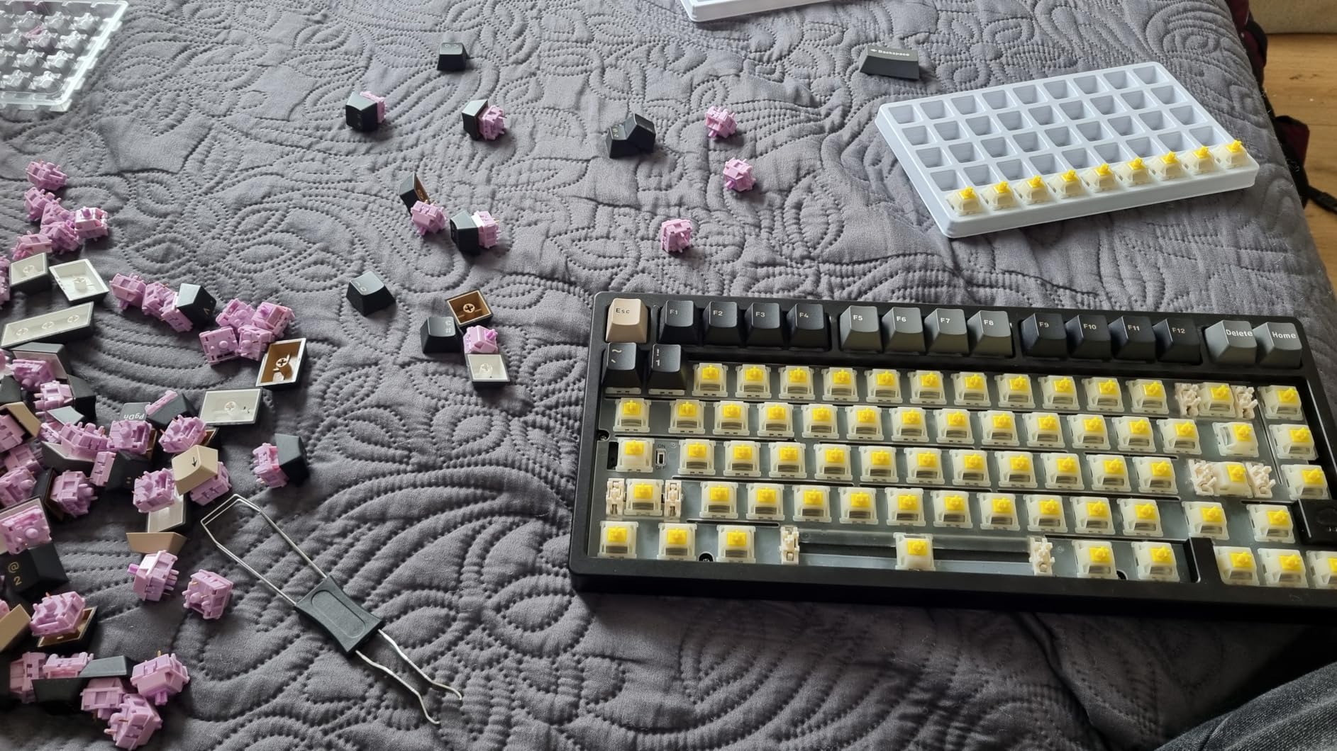 GATERON Milky Yellow Pro V3 Keyboard Switches, Pre-lubed Linear 5 pin for All MX Mechanical Keyboard (72PCS) customer photo 2