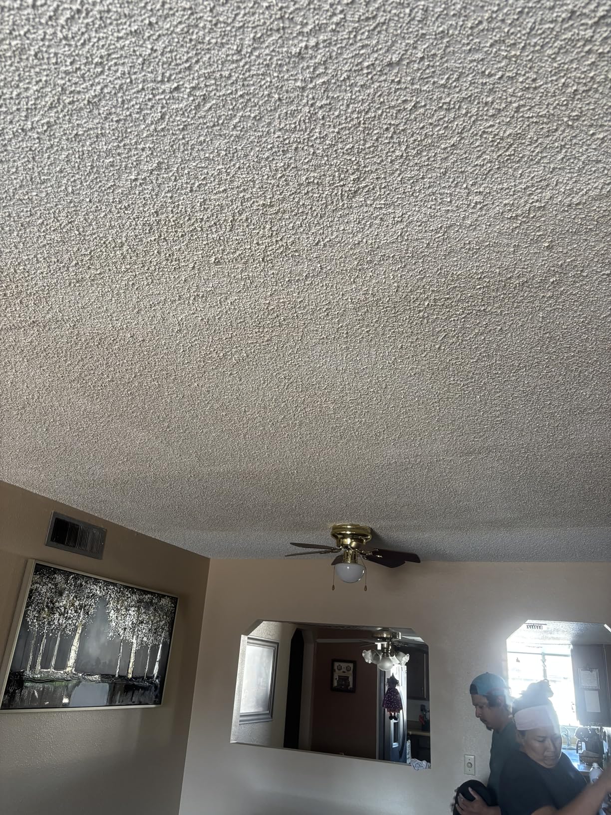 WAL-Board Tools Texture Pro 500 Hopper Gun, USA Made, Complete Kit for Wall and Ceiling Texturing, with Air Control Valve, TP500 customer photo 1