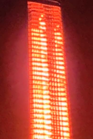 ThermoMate Infared Patio Heater for Outdoor, Electric 1500W IP65 Waterproof with Remote, 9 Heating Levels & 24H Timer for Restaurant Backyard, Plug-in 120V Black customer photo 2