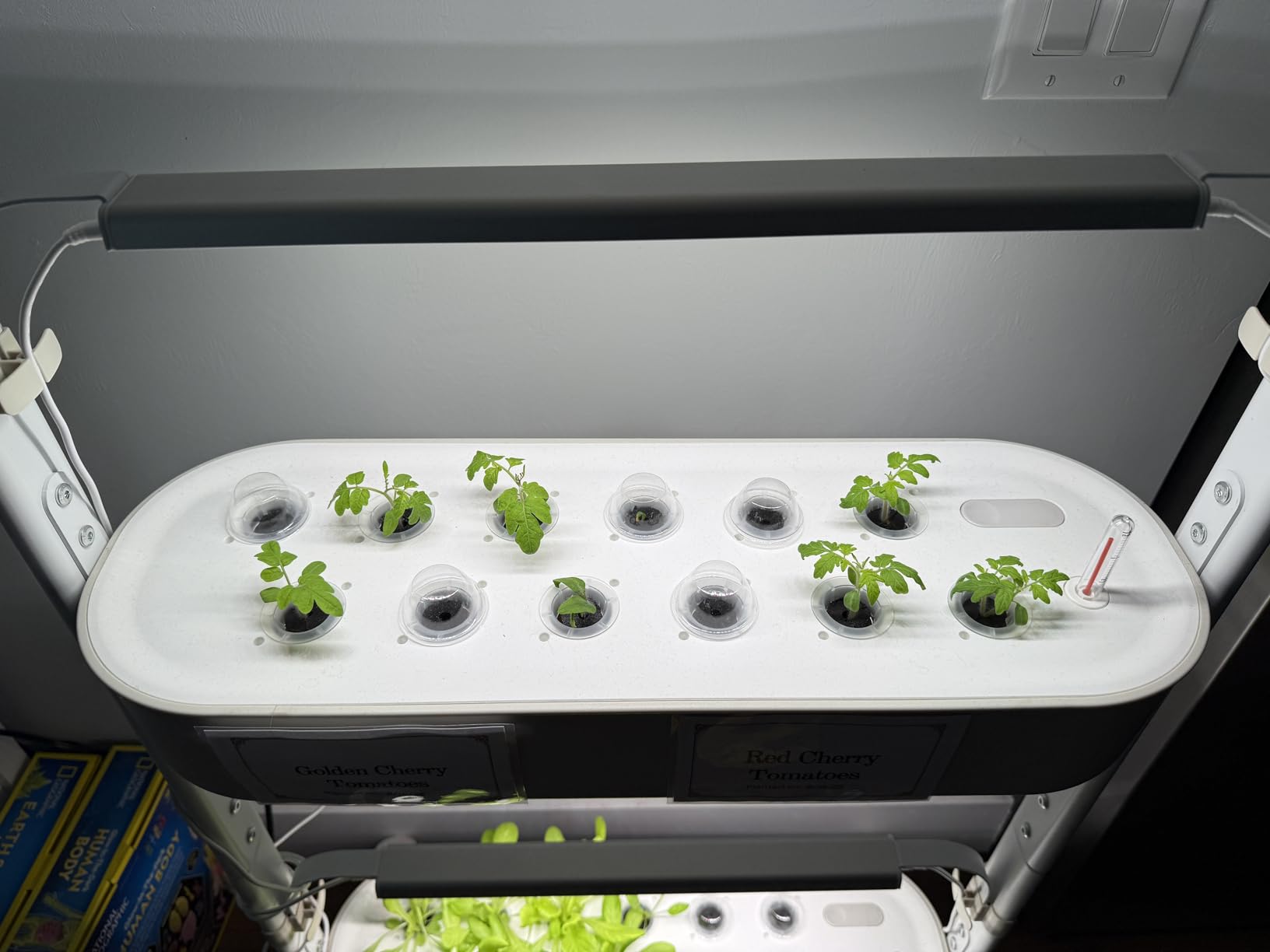 SUNCOZE 2-Tier Hydroponics Growing System Kit with 24 Pods - Full Spectrum Grow Lights, Hydroponic System equipped with smart controller, Indoor Herb Garden Kit for Vegetables, Herbs, Fruits & Flowers customer photo 2