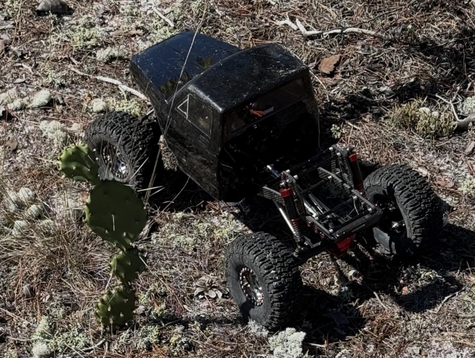 Redcat Ascent Fusion 1:10 Scale RC Rock Crawler, Brushless Motor, 4WD, Carbon Fiber Frame, Black customer photo 1