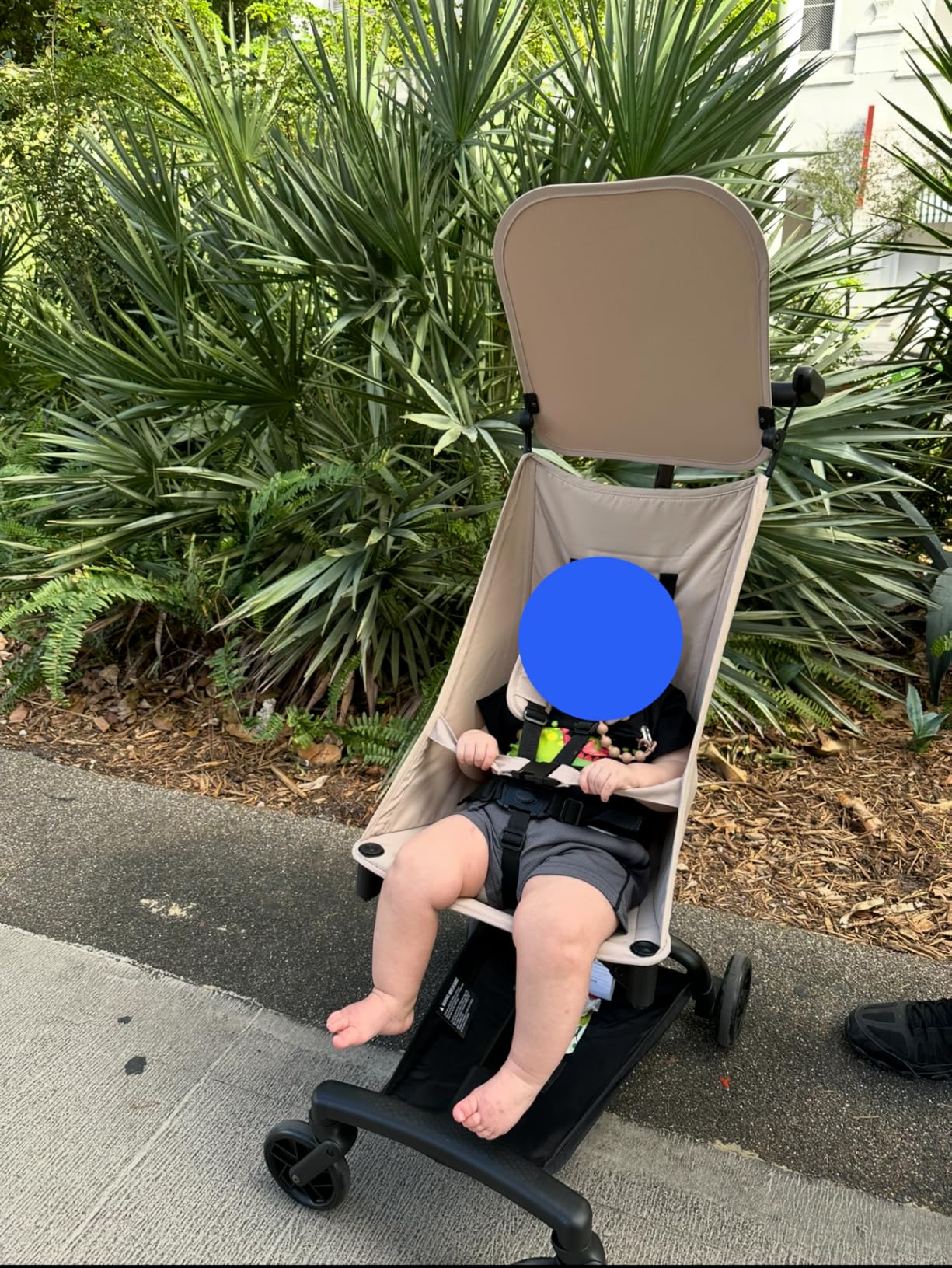 Mompush Jeto Lightweight Travel Stroller - 9.8 lbs Ultra-Compact, One-Hand Fold, Airplane Cabin Approved, All-Terrain Wheels, Smooth Ride for Toddlers, Perfect for Travel & Daily Use customer photo 1