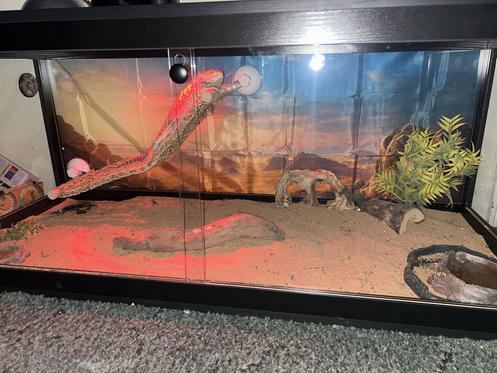 Prolee Reptile Tank, 65 Gallon Beard Dragon Tank, Tempered Glass Reptile Encloure and Snake Tank with Locking Design for Lizard,Gecko,Chameleon (40
