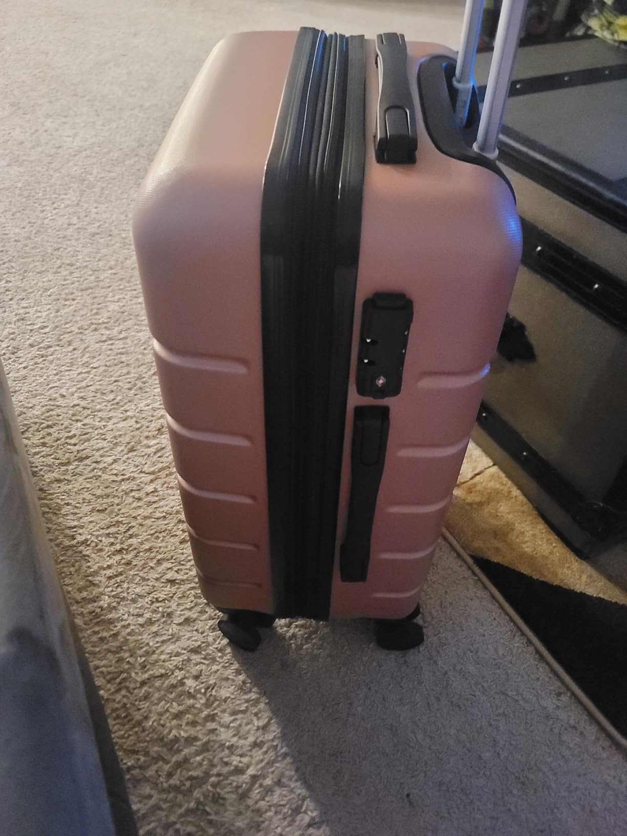 Carry on Luggage, Hard Shell ABS Suitcase with Double Spinner Wheels, Lightweight Expandable Rolling Suit Case with TSA Lock, 20 Inch Pale Pink customer photo 1
