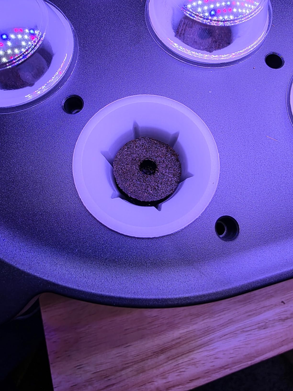 SPECILITE Hydroponics Growing System Kit with 30