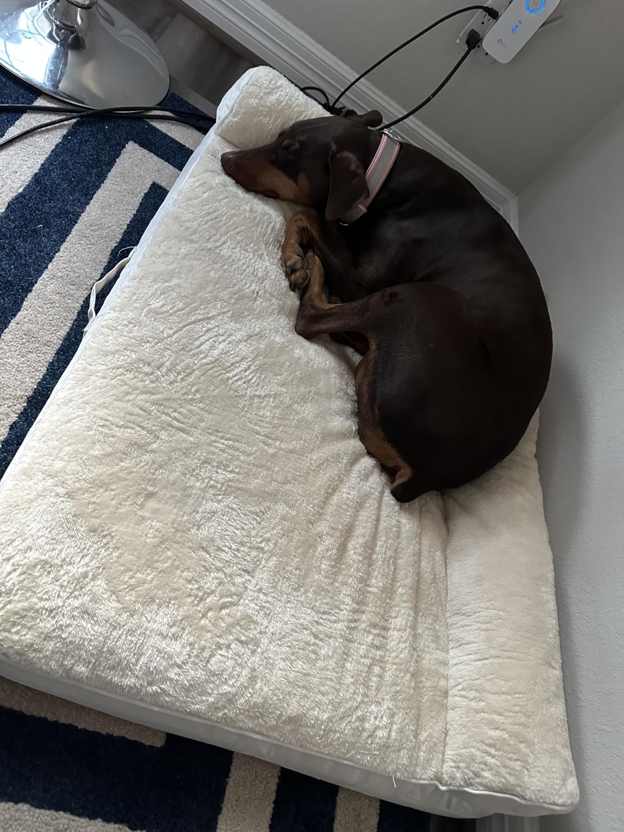 XL Orthopedic Dog Bed for Large Sized Dogs, 42