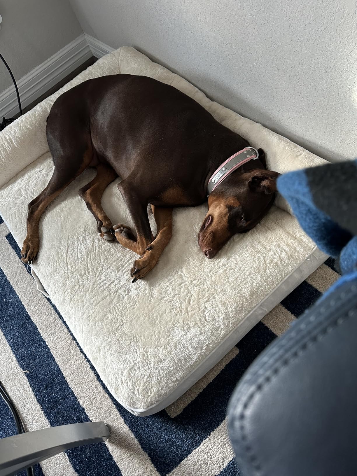 XL Orthopedic Dog Bed for Large Sized Dogs, 42