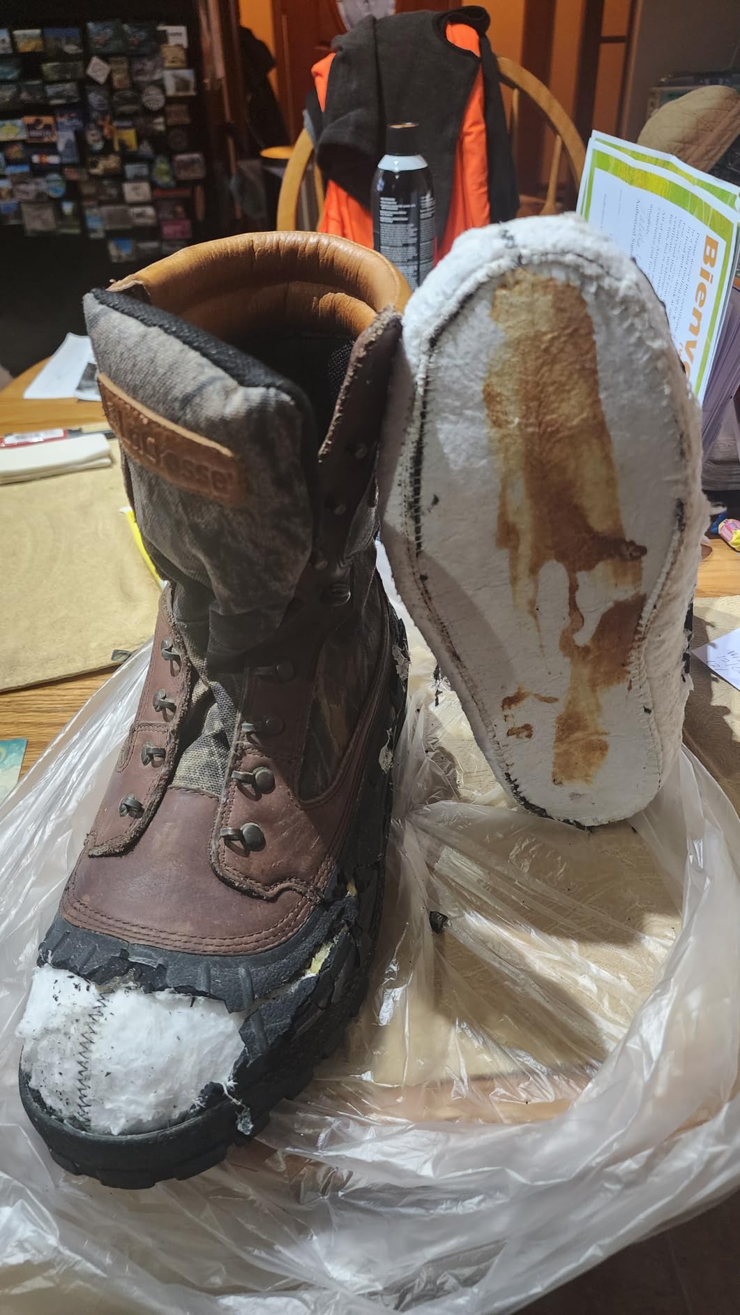 LaCrosse Men's Cold Snap 9