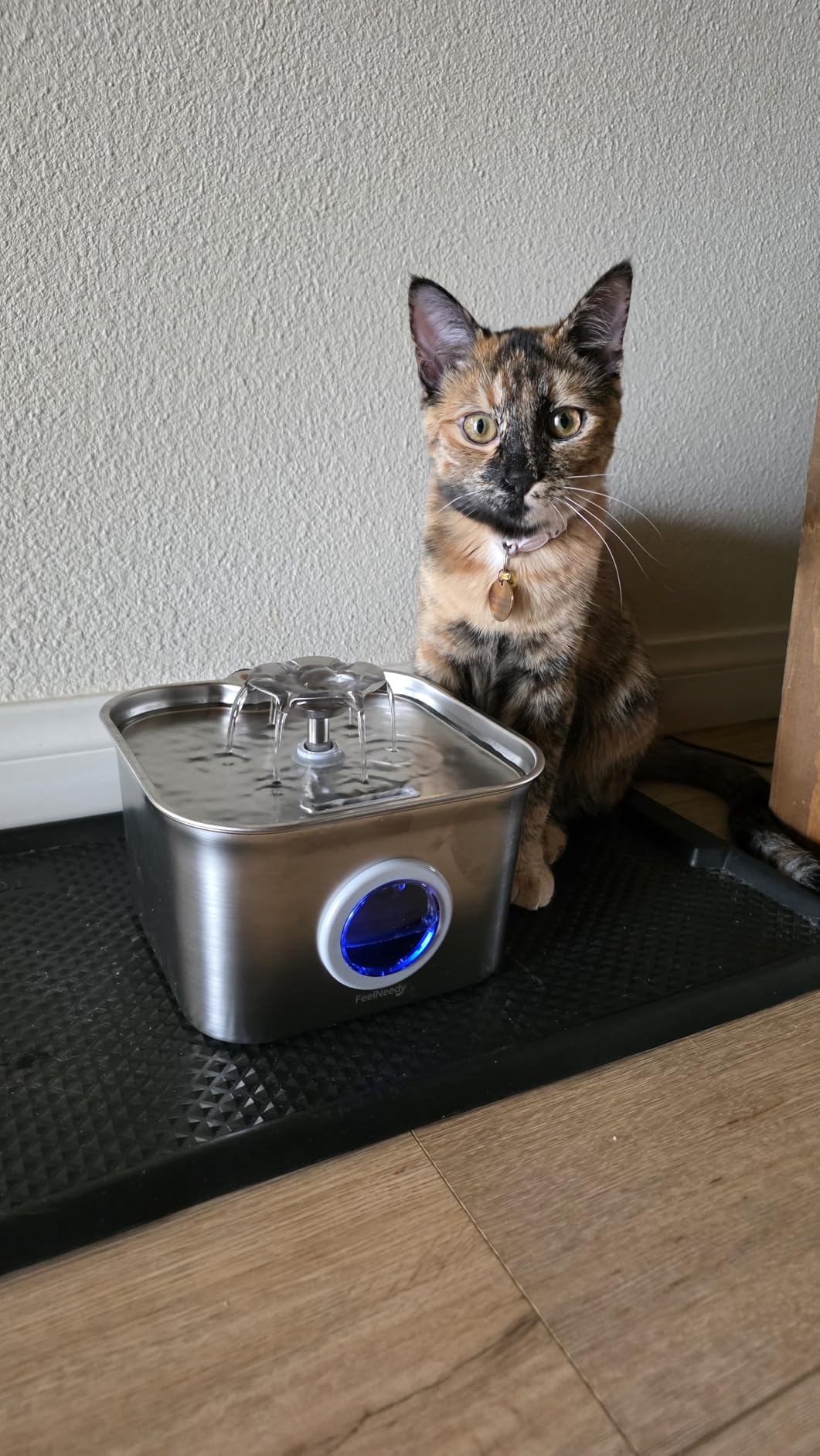 Stainless Steel Cat Water Fountain, 2.8L with 20dB Ultra-Quiet Pump- Ideal for Timid Pets, LED Water Level Window, Dishwasher Safe, 24/7 Circulation- Includes 3 Replacement Filters customer photo 2