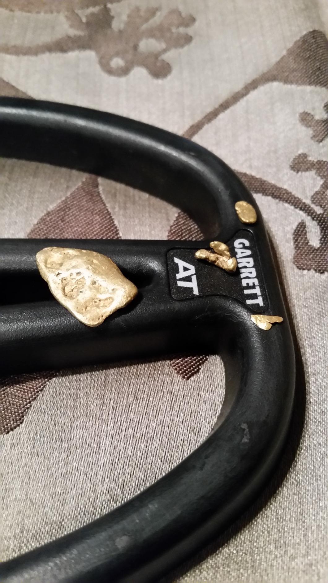 Garrett - Goldmaster 24k - Gold Metal Detector for Adults - High Frequency 48 kHz Metal Detector for Gold - Made in USA - Wired Headphones Included customer photo 1