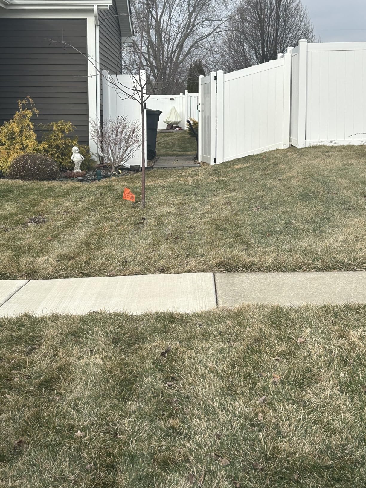 Spotting Scope 20-60x60mm - Waterproof IPX7 Spotter Scope with Phone Adapter and Tripod, Portable for Bird Watching Wildlife observing and Hiking, Black customer photo 1