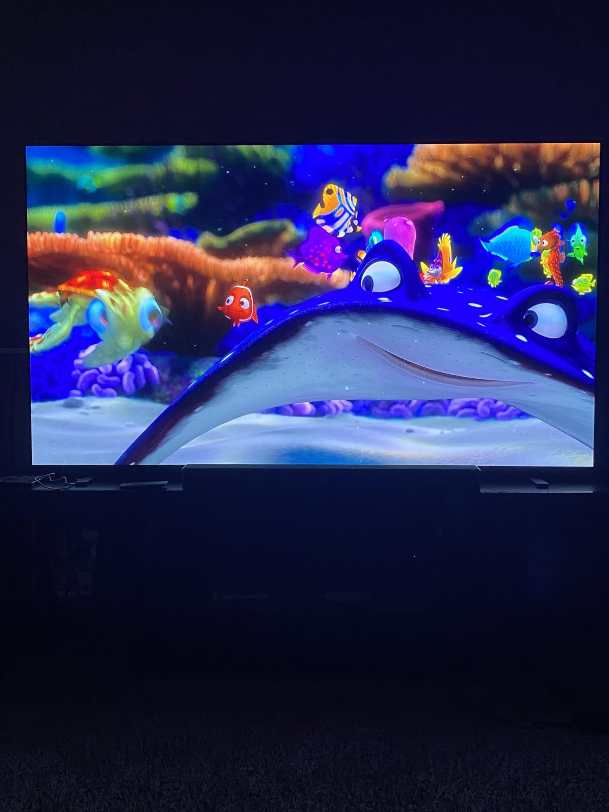 LG 55-Inch Class OLED AI 4K B5 Series Smart TV w/Dolby Atmos, Dolby Vision, HDR10, AI Super Upscaling 4K, Filmmaker Mode, Wow Orchestra, Alexa Built-in (OLED55B5PUA.AUSZ, 2025) customer photo 1