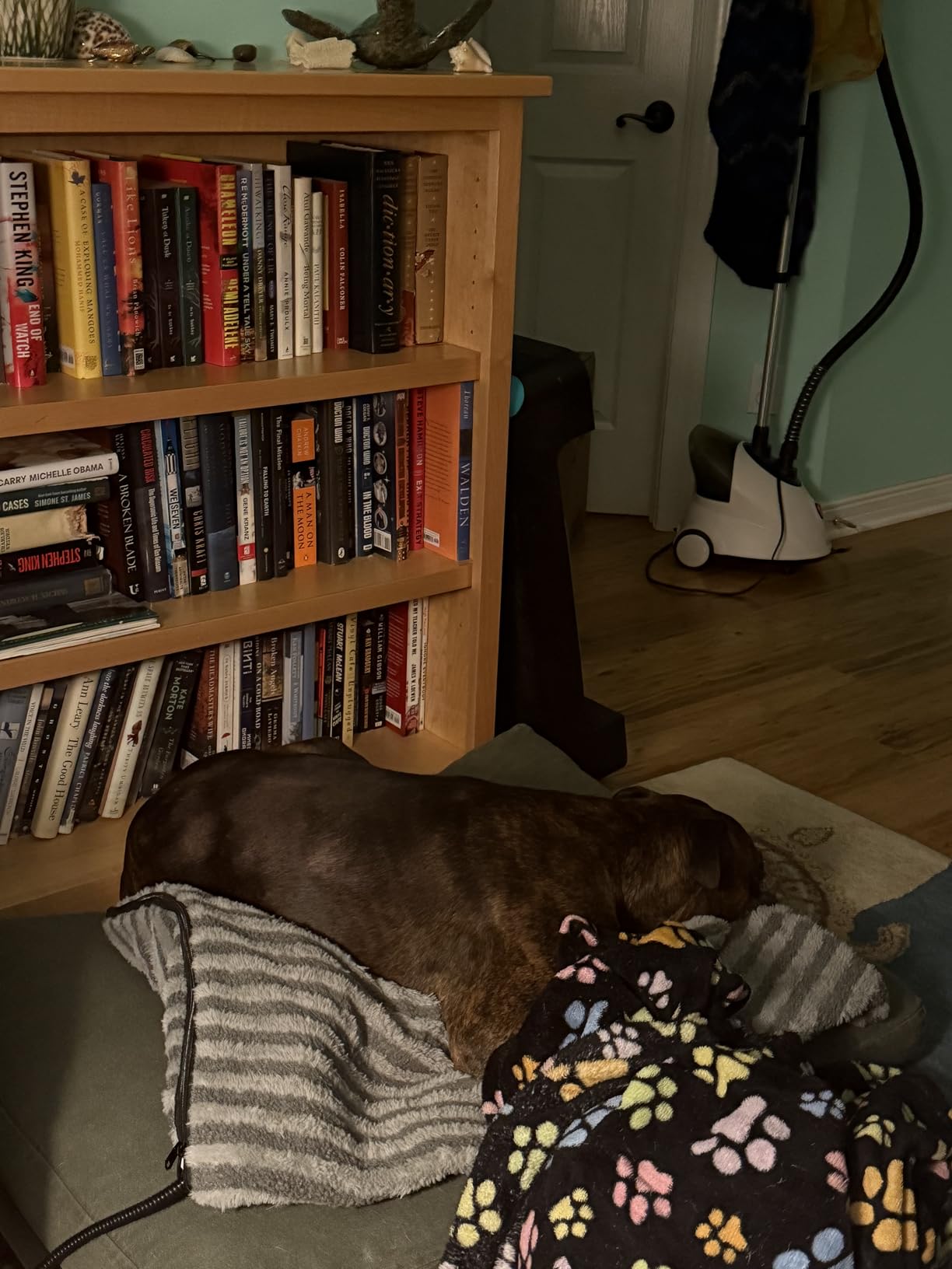 Large Pet Heating Pad, Waterproof Heated Dog Cat Bed with 11 Adjustable Temperatures & 24H Timer, Auto Shut-Off, Chew-Resistant Cord, Washable Cover, Indoor Electric Heating Mat, Grey, L(35 x 24) customer photo 2