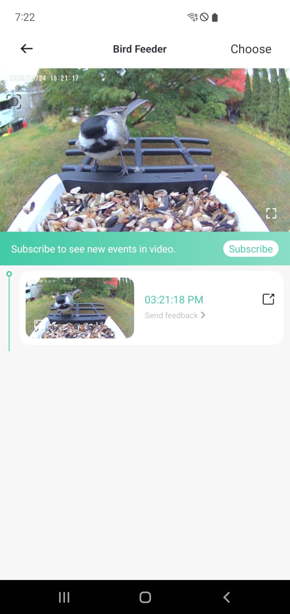 Smart Bird Feeder with Camera - Solar Powered Bird Watching Camera with 2K HD Live View, Auto Capture & AI Identify 10,000+ Species, 2.4G WiFi Outdoor Birdhouse, Ideal Gifts for Bird Lovers customer photo 1