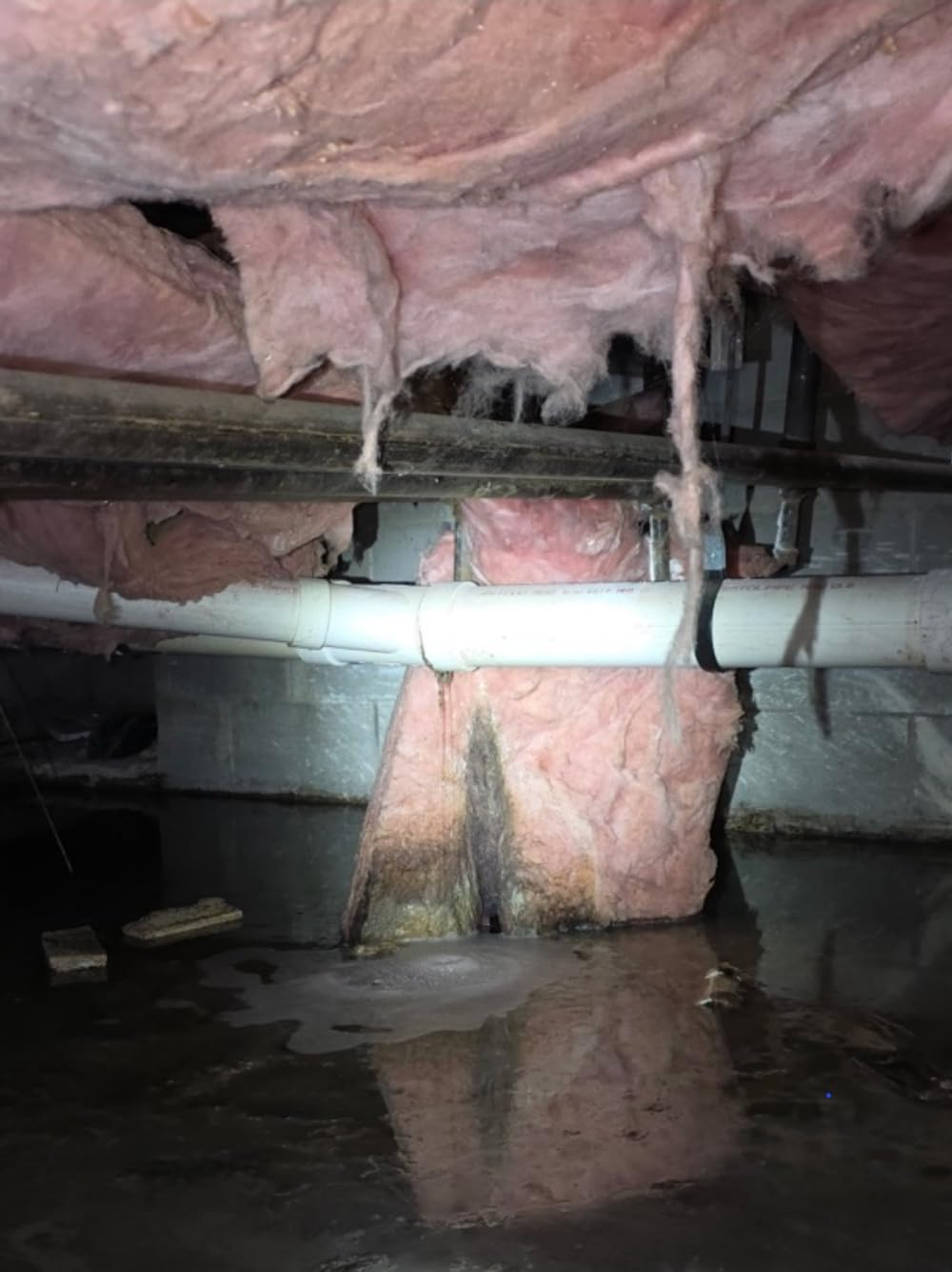 OLIGHT ArkPro Ultra EDC Flat Flashlight, Rechargeable Portable Flash Light, 1700 Lumens with White LED, UV and Green Beam for Working, Emergency, Camping, Everyday Carry (Olive Green CW) customer photo 2