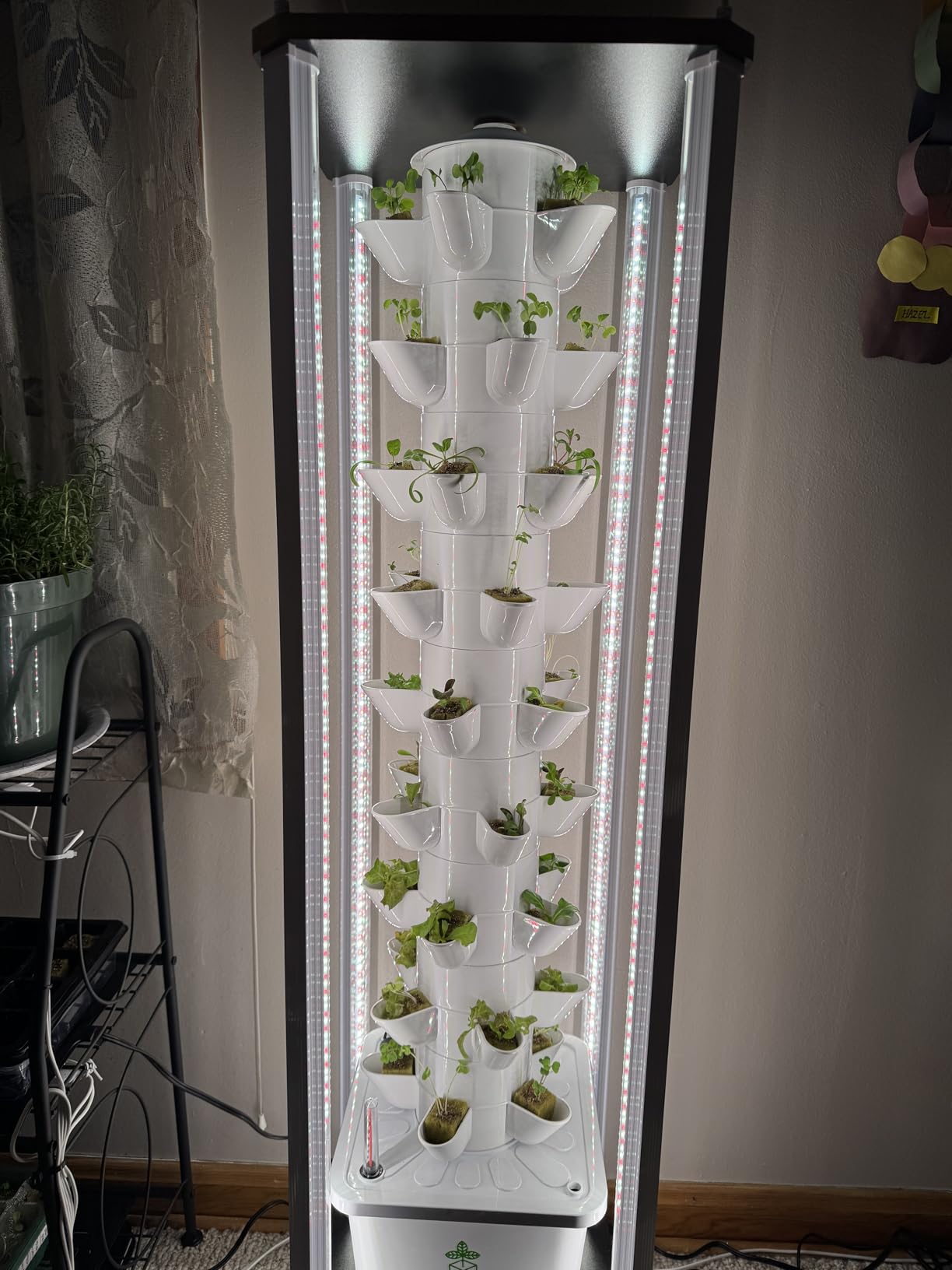 Hydroponics Tower Growing System，45 Pods Vertical Indoor Garden，360° Full-Spectrum Lights, Automatic Water Circulation System，Suitable for Leafy Greens and Herbs，Include Seed Starter Tray customer photo 2