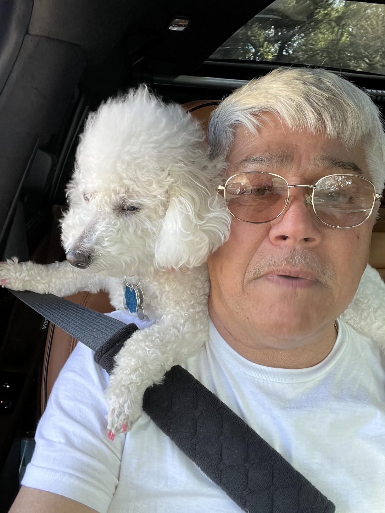 Automatic Ball Launcher for Dogs, The Upgraded Ball Thrower Adjustable Distance 20-45ft Including 6 PCS 2.3-inch Sized Balls, Interactive Dog Toys Suitable for Small to Medium Sized Dogs customer photo 1