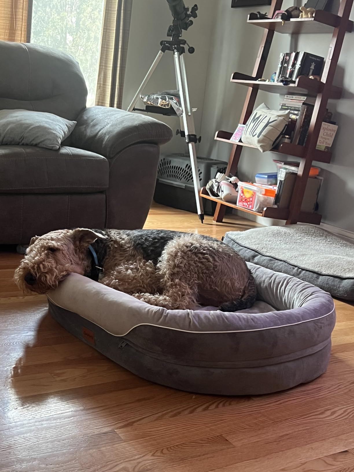 XL Orthopedic Dog Bed, Extra Large Dog Bed, Dog Sofa for Large Sized Dogs with Full-Surround Bolsters, Dual-Sided Dog Cooling Bed with Memory Foam, Washable Sofa with Nonslip Bottom, Light Grey customer photo 1