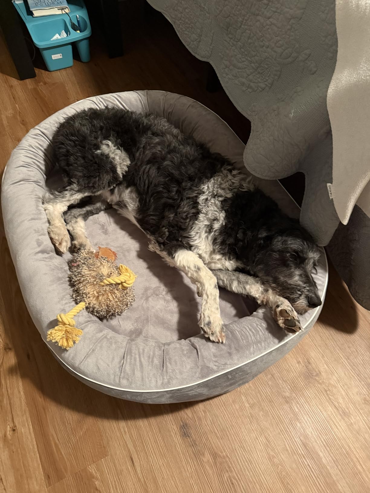 XL Orthopedic Dog Bed, Extra Large Dog Bed, Dog Sofa for Large Sized Dogs with Full-Surround Bolsters, Dual-Sided Dog Cooling Bed with Memory Foam, Washable Sofa with Nonslip Bottom, Light Grey customer photo 2