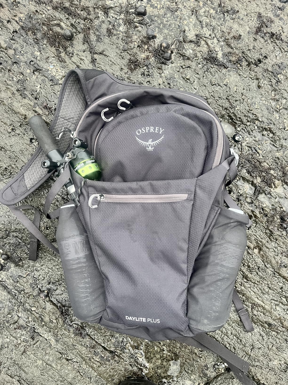 Osprey Daylite Plus Commuter Backpack - Everyday Pack with Laptop Sleeve, Bottle Pockets, and Extra Storage, Torrent Blue customer photo 2