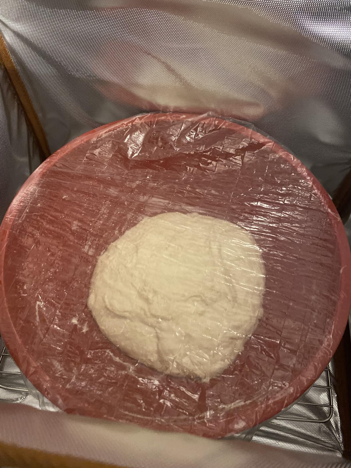 Folding Bread Proofing Box with Temp Control(50-122°F) & 48H Timer, Dough Proofer with Metal Rack, Proofing Box for Sourdough, Bread Baking, Pizza, Yogurt, Kombucha, Space-Saving & Easy to Use customer photo 2