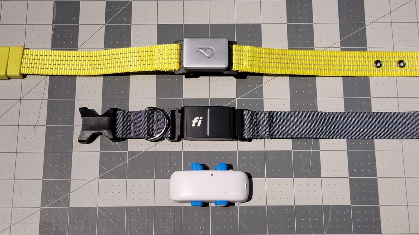 New Fi Series 3+ Smart Dog Tracker Collar [12 Month Membership Included] GPS Tracker for Dogs with Health & Behavior Monitoring, Escape Alerts, Waterproof, LED, Apple Watch Compatible (Gray, X-Small) customer photo 2