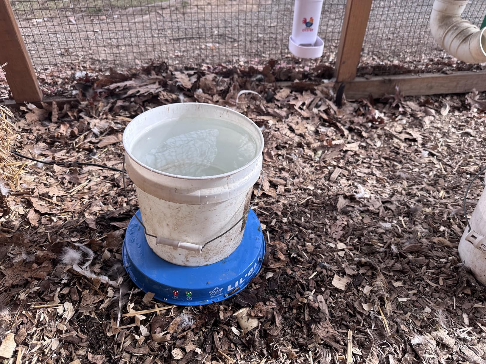 Lil'Clucker Heated Base for Chicken Waterer - Automatic Metal Freeze Proof Heated Chicken Waterer with Heater & LED - Poultry Heated Waterer for Winter (Orange, 11 Inch) customer photo 1