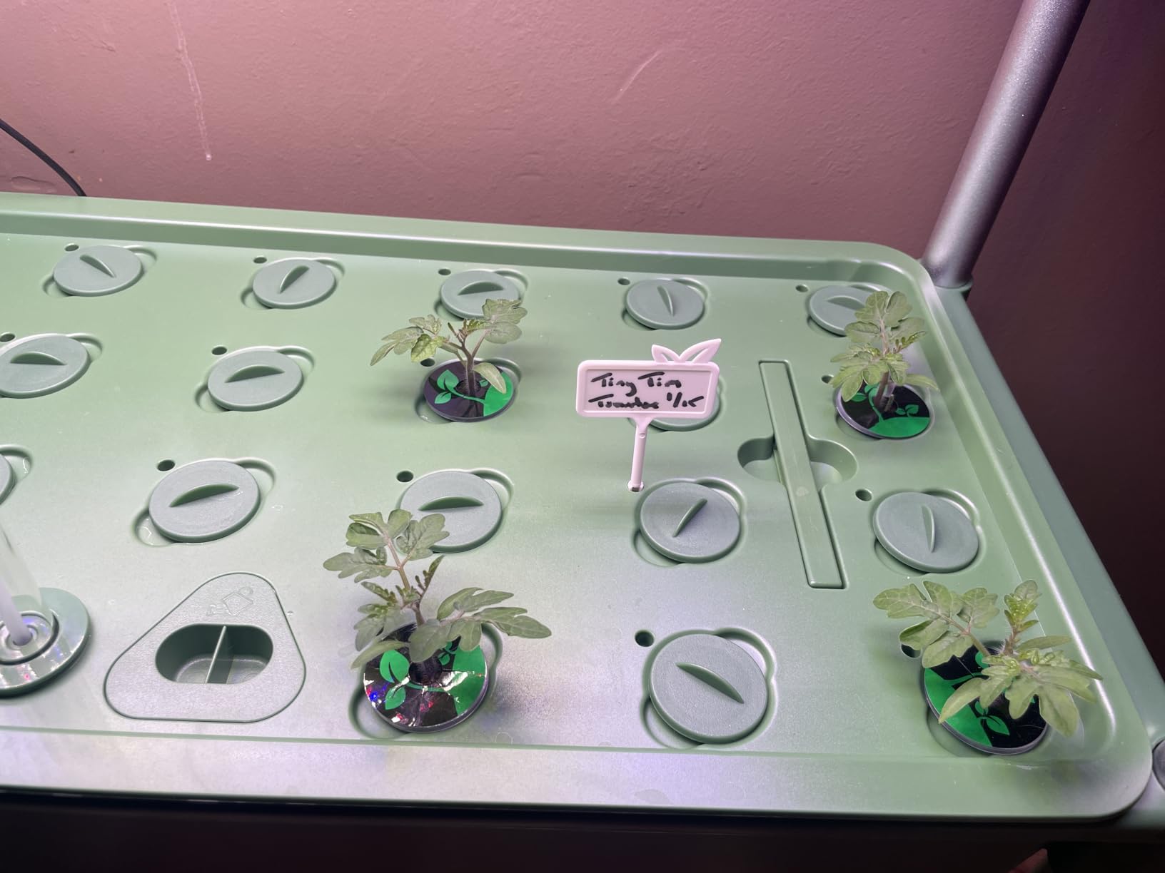 Hydroponics Growing System Kit, 81 Pods Vertical Indoor Herb Garden with Smart LED Grow Light, Auto Circulating Water Pump Each Tier, 42L Hydroponic Gardening Systems for Ideal Gifts (Black) customer photo 1