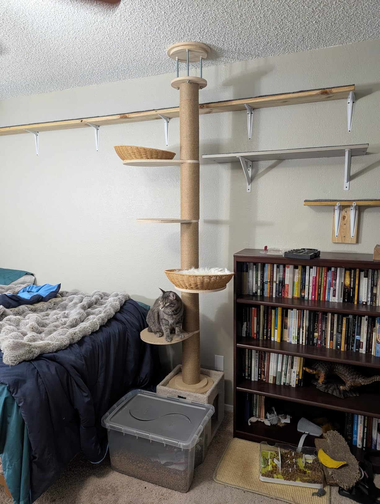 Tinnmao Solid Real Wood Floor to Ceiling Cat Tree, 6 Level Adjustable Height (89