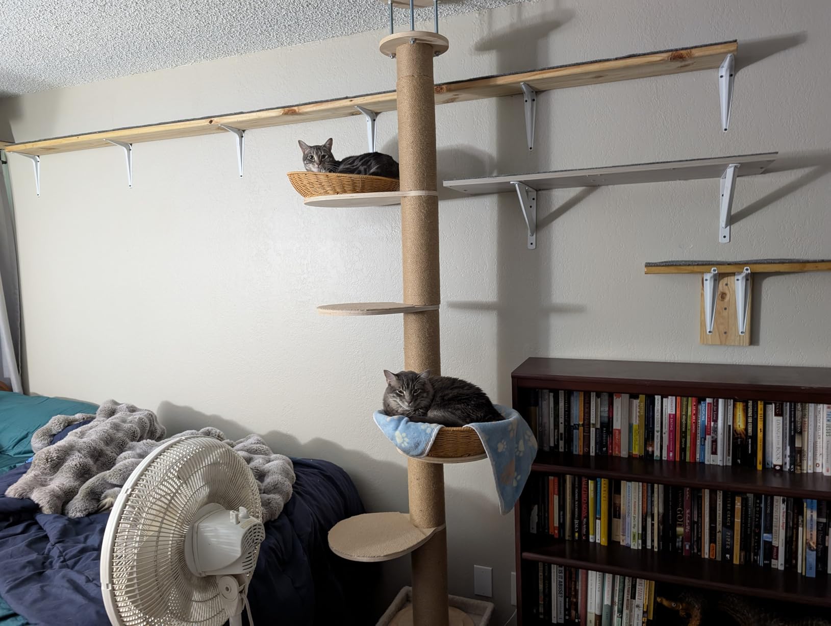 Tinnmao Solid Real Wood Floor to Ceiling Cat Tree, 6 Level Adjustable Height (89