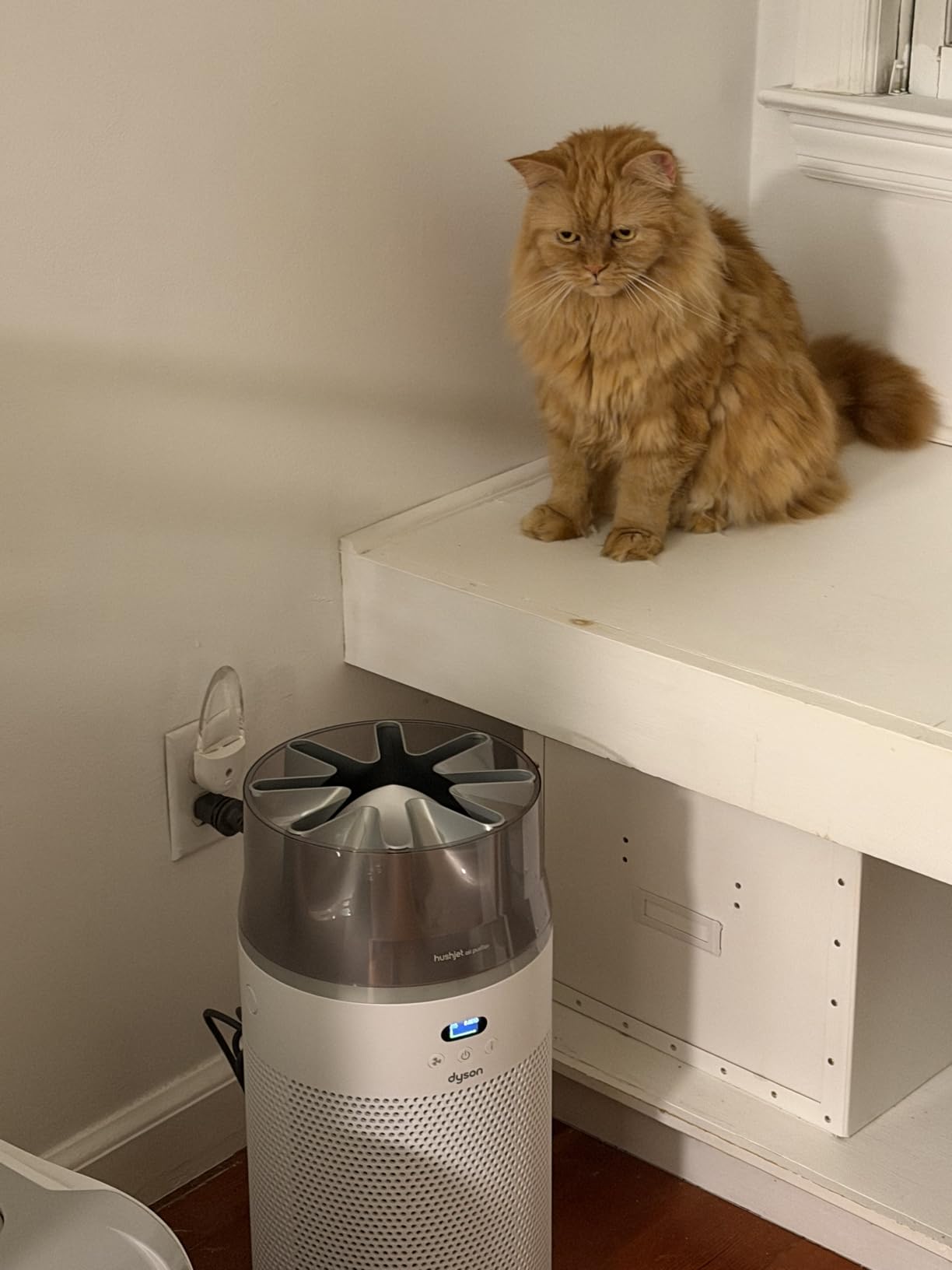 Dyson Hushjet Compact Purifier, Engineered for Powerful, Whisper-quiet, Whole-room Air Purification, Homes with Pets, Allergies, Fully-sealed filtration, 5-year no change filter (White/Silver) customer photo 1