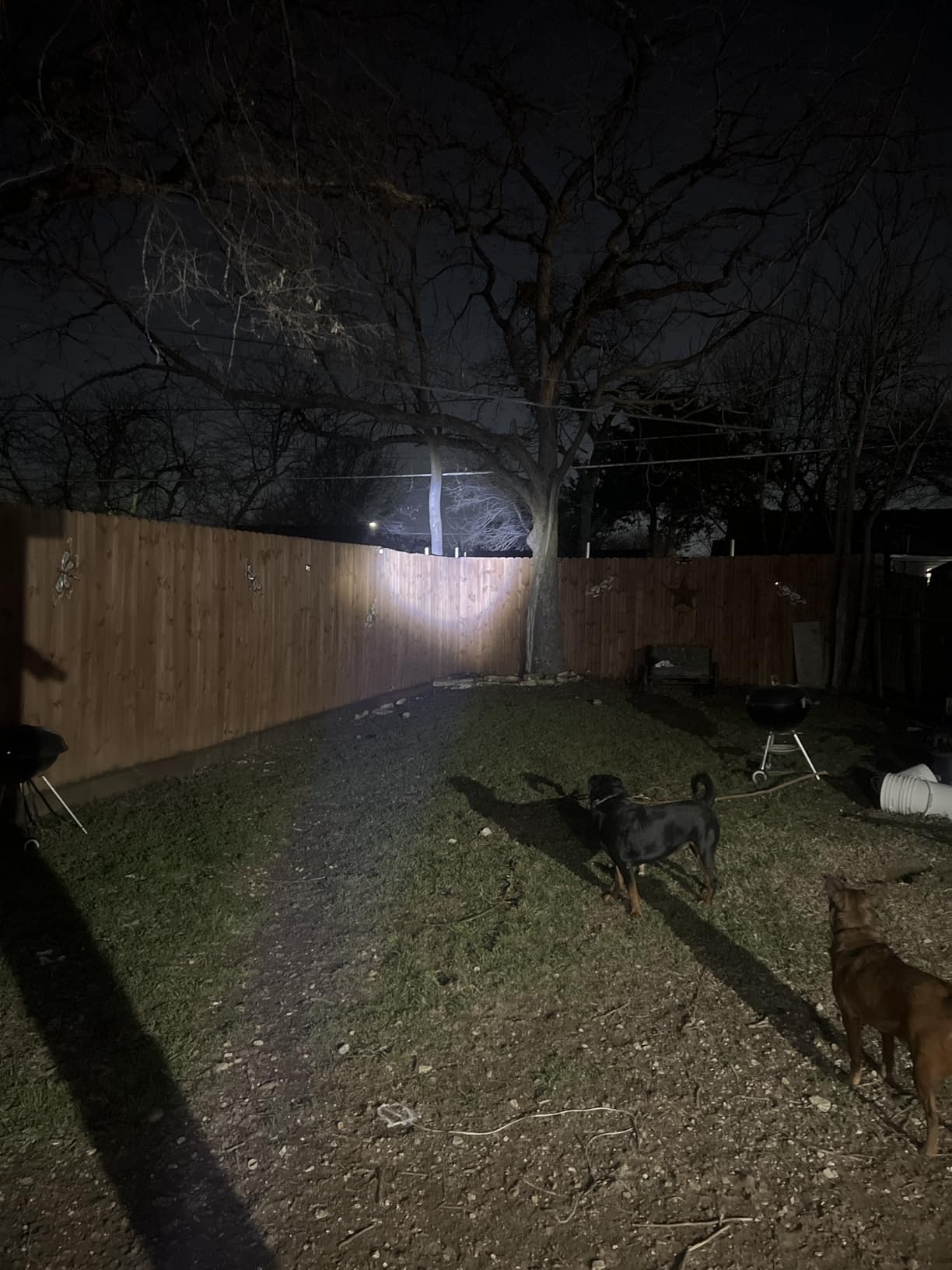 3Pack Rechargeable Flashlights High Lumens 9900FL, LED Flashlight Rechargeable with LCD Digital Display, 5Modes Adjustable Flash Light, Super Bright Flashlight Powerful, Tactical Flashlights for Home customer photo 1