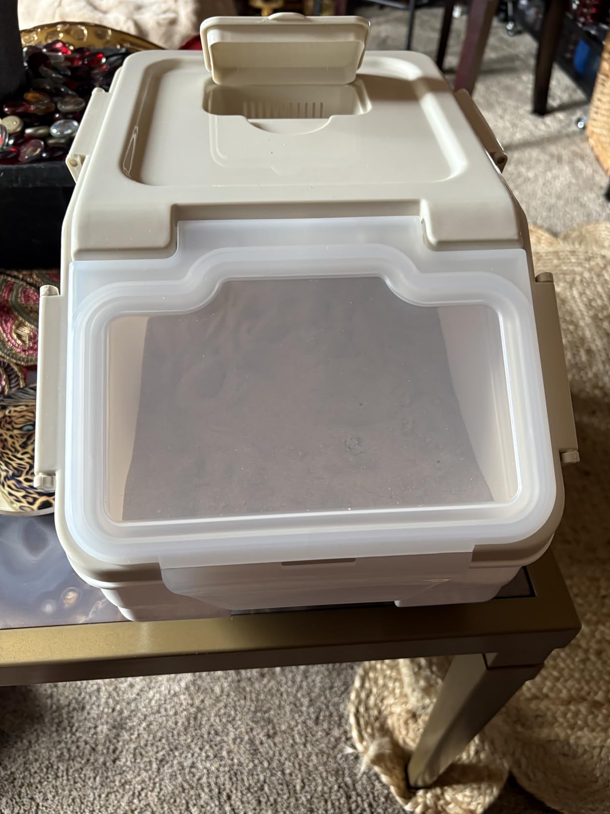 Extra Large Chinchilla Sand Bath Container Kit, Plastic Chinchilla Dust Bath House with Wash and Care Accessories, Dust Bathtub for Chinchillas Hamster Hedgehog Guinea Pig and Other Small Animals customer photo 2