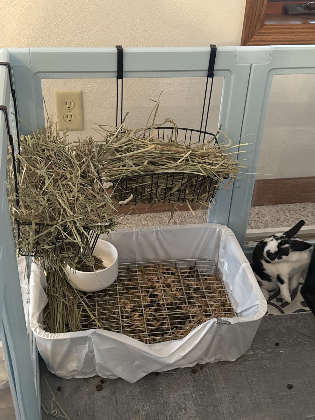 Stainless Steel Sifting Litter Box for Rabbit (M) customer photo 1