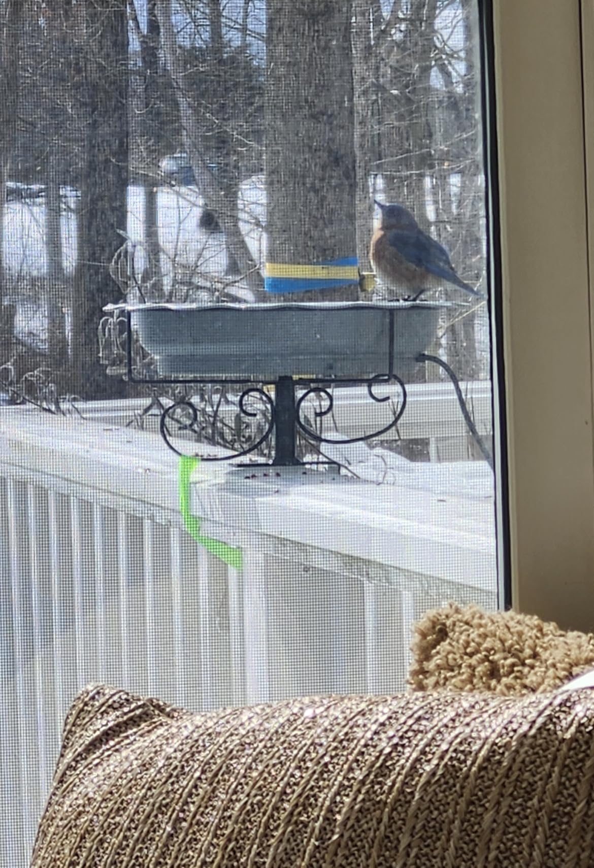 Heated Bird Baths for Outdoors, 100W Heated Bird Bath for Deck Railing, Heated Birdbath with Thermostat Control, Heated Bird Bath for Outside Winter Garden Patio Yard (Blue) customer photo 1