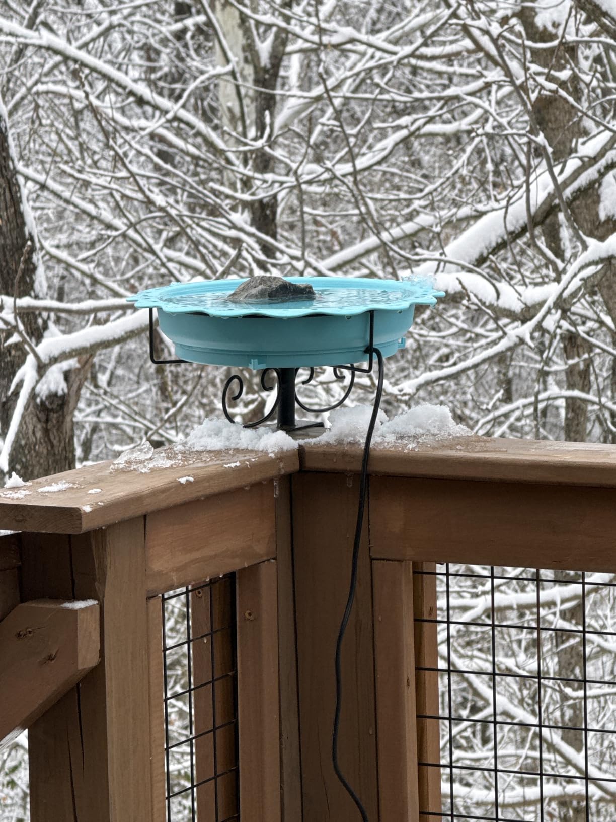 Heated Bird Baths for Outdoors, 100W Heated Bird Bath for Deck Railing, Heated Birdbath with Thermostat Control, Heated Bird Bath for Outside Winter Garden Patio Yard (Blue) customer photo 2