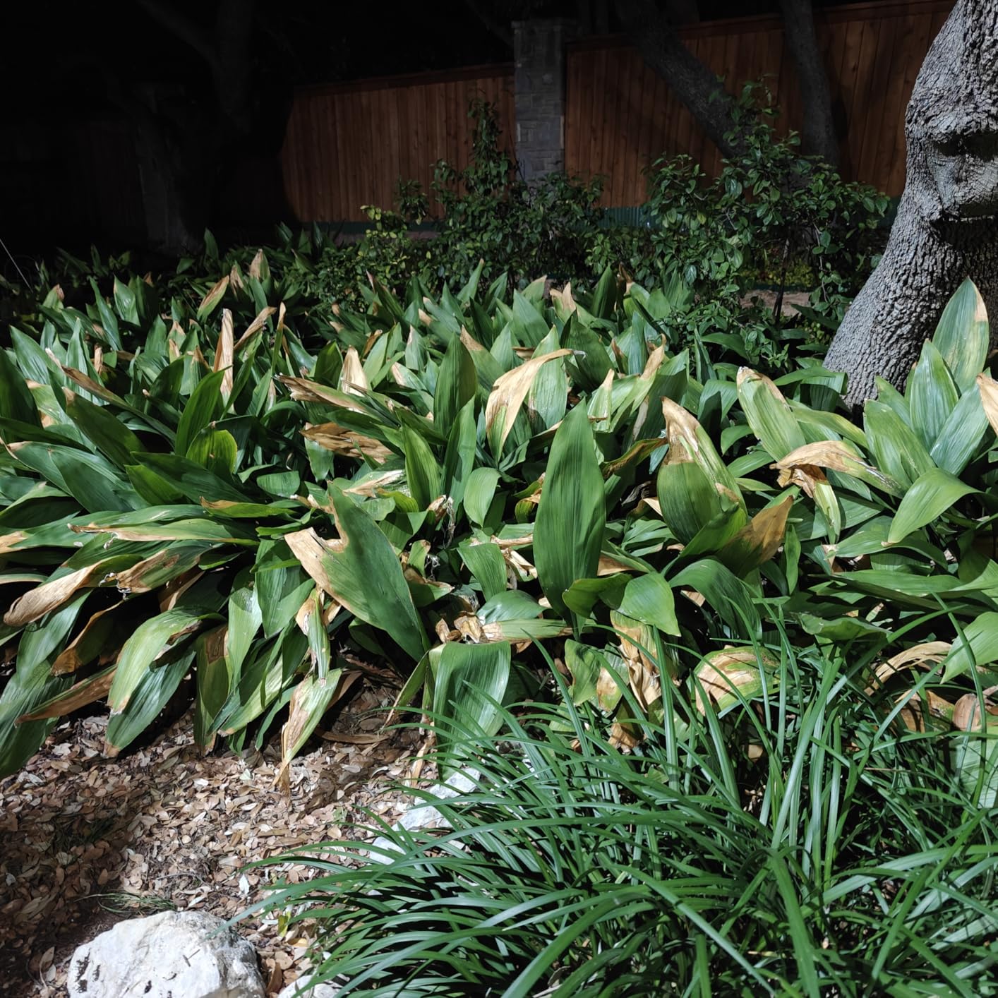 DIMAR GARDEN Concrete Curing Blanket,12x24 Feet 0.15inch Thick, Outdoor Keep Warm Insulated Tarp, Waterproof PE Foam customer photo 2