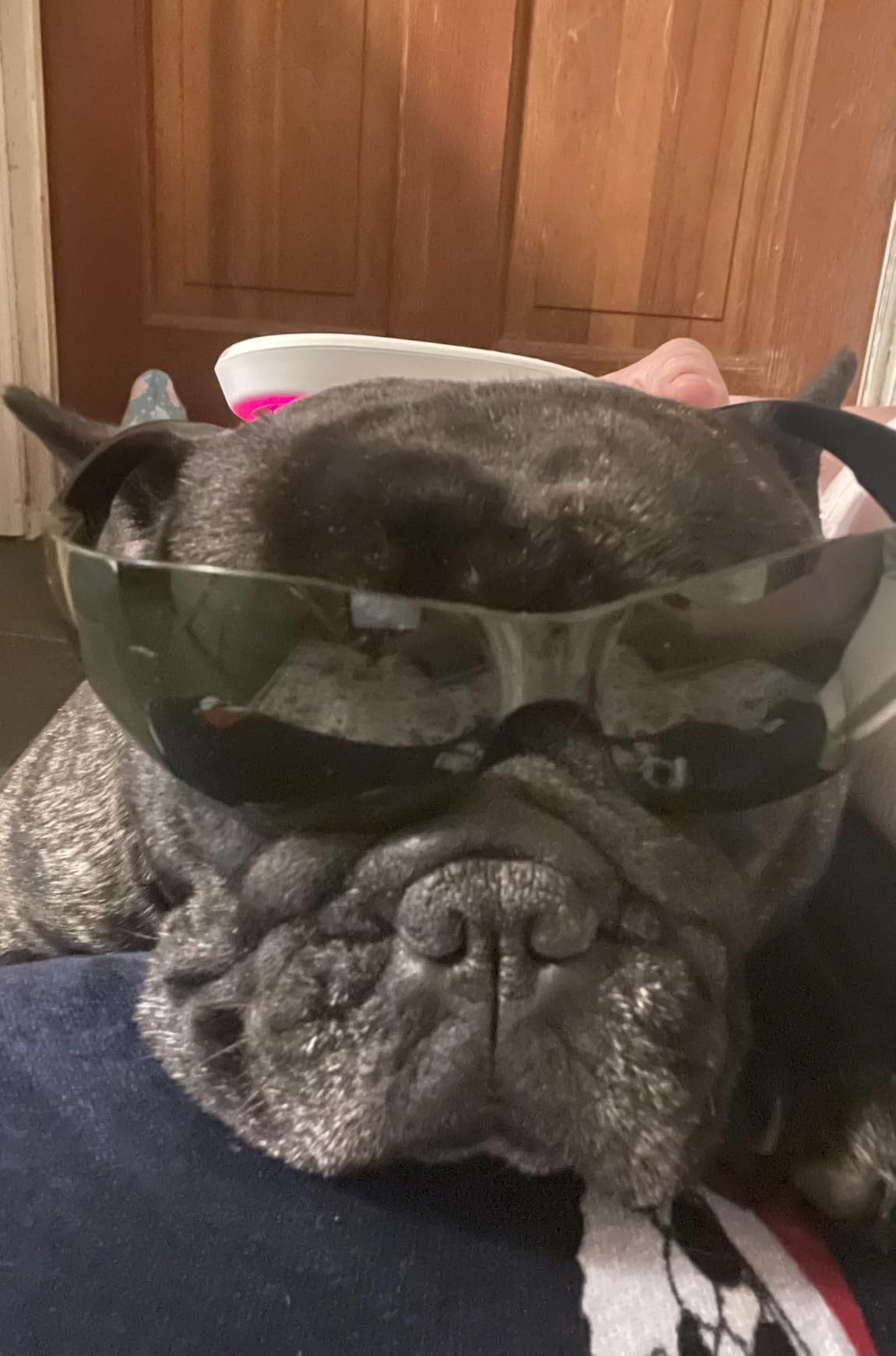 Cold Laser Therapy Device - Low Level Laser Therapy (LLLT) Wand 3x808nm + 18x650nm, Handheld Red & Infrared Light Therapy for Humans & Pets customer photo 2