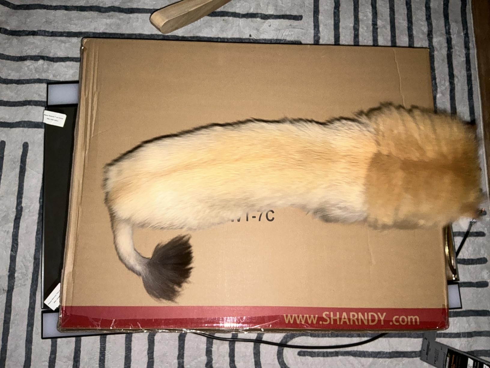 Electric Towel Rack with Voice Control for Alexa & Google Home,TUYA-Wall-Mounted Bathroom Heating Towel Warmer,Stainless Steel Material,31.5x20.08x4.41in,Plug-in,Black,10 Bars customer photo 1