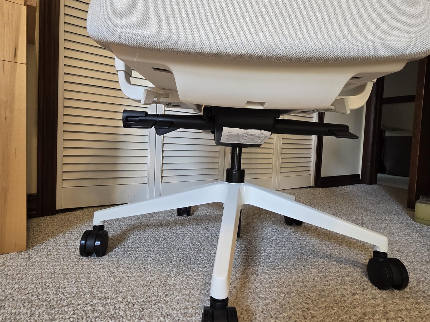 Branch Ergonomic Chair Pro - Mesh Office Chair with 14 Points of Adjustment - Height, Depth & Tilt Adjustable - 5D Armrests - Forward Tilt, Smooth Recline, and Lumbar Support - Black customer photo 1