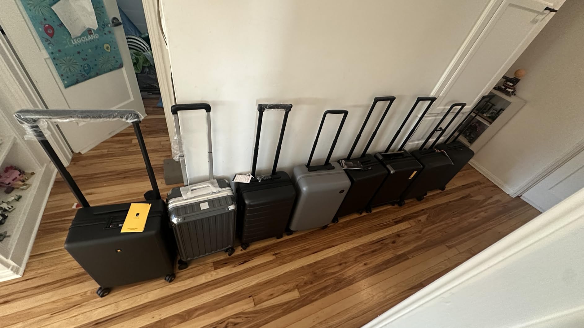 Transit Carry-On (41L carry-on luggage, with hard shell and removable packing cells) - Everglade customer photo 1