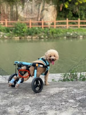 TailWaggers Dog Wheelchair for Back Legs | Adjustable Mobility Aid | All-Terrain Wheels customer photo 1