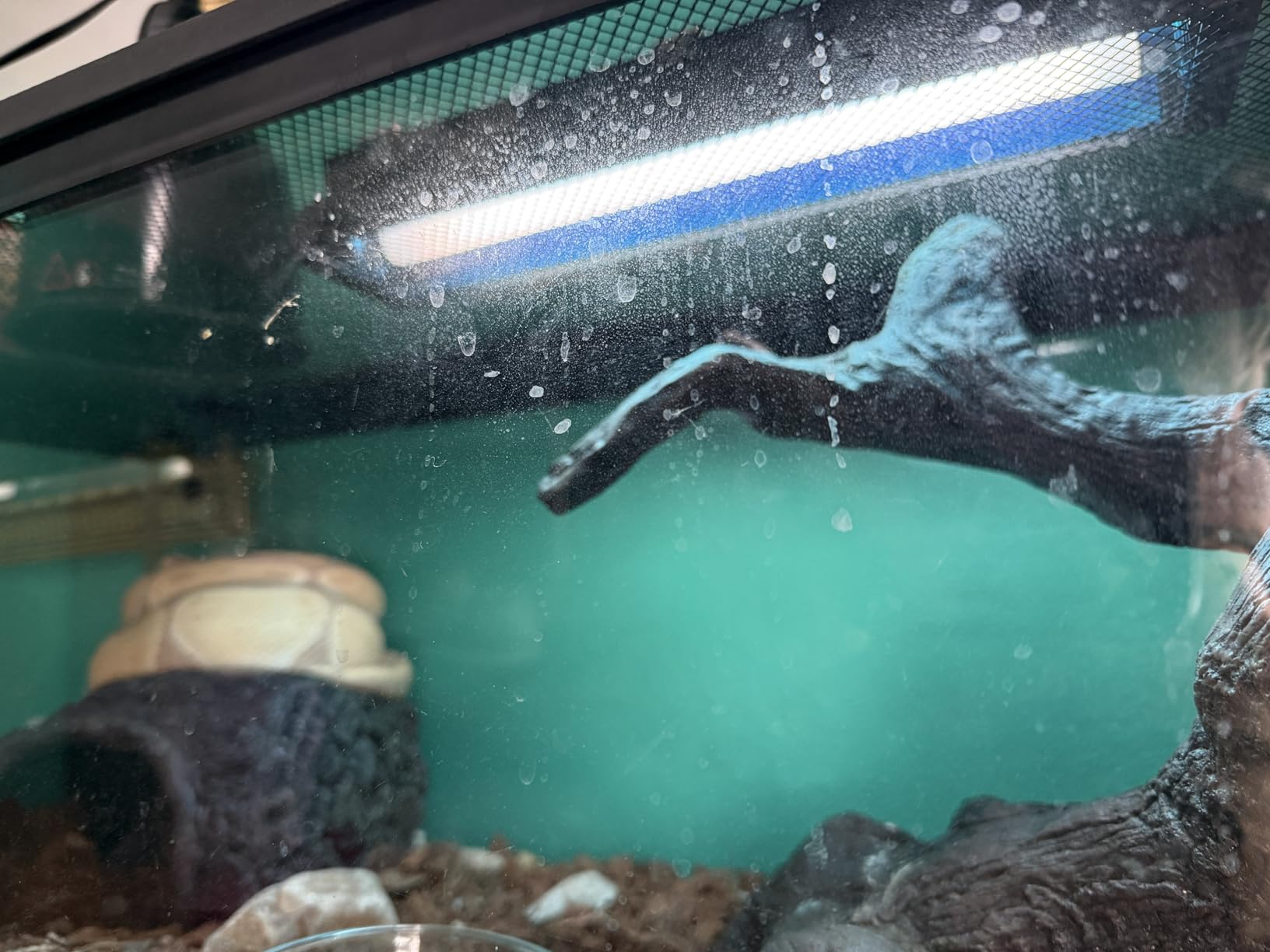 T5 10.0 UVB Reptile Light Fixture Combo Kit, 8W High Output UVA UVB Light with Upgraded Wider Alloy Reflector for Bearded Dragons Lizards Tortoises and Other Desert or Tropical Reptiles (12.5Inch) customer photo 1