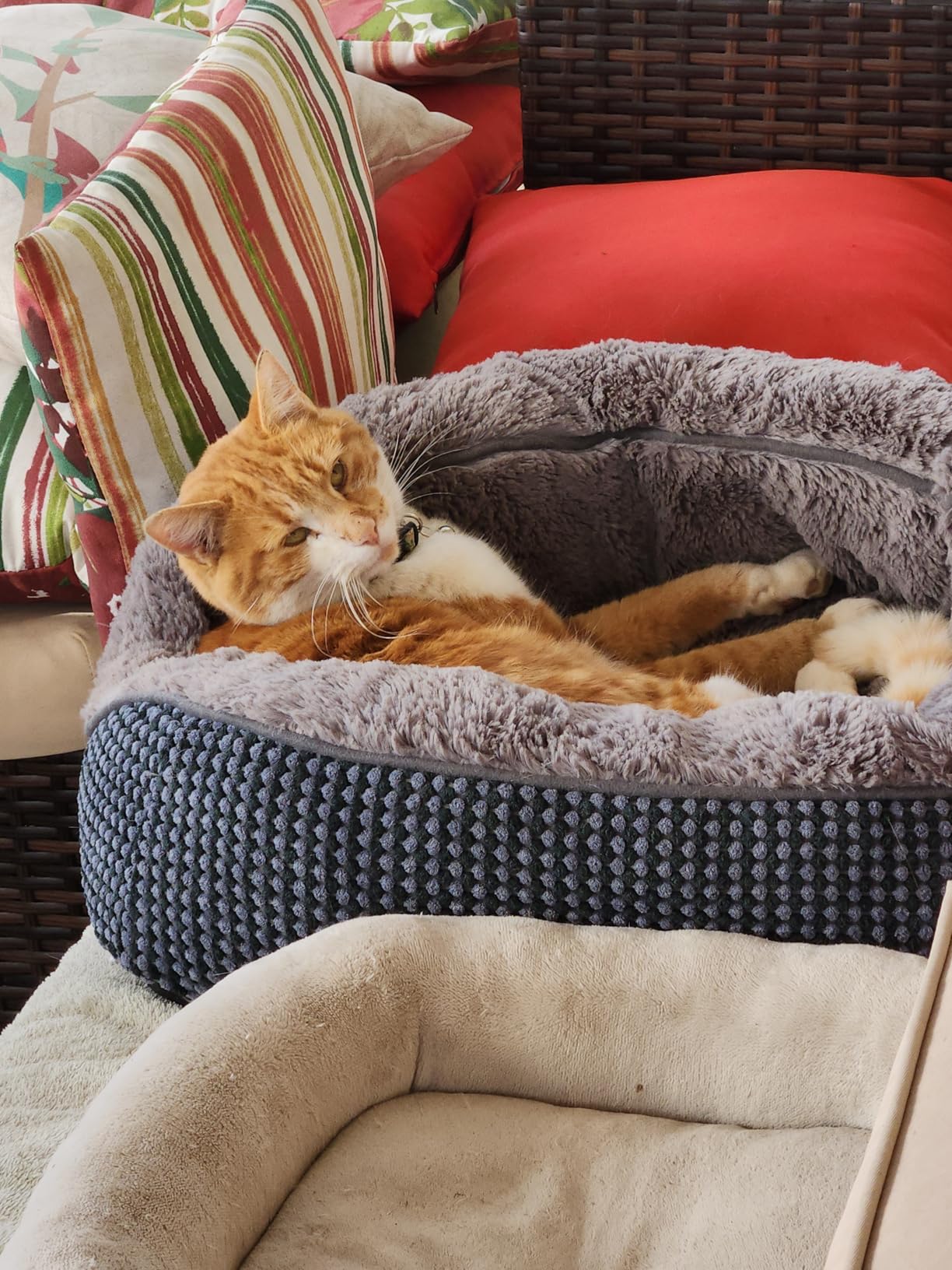 1500W Infrared Patio Heater, IP65 Waterproof Outdoor Electric Heater with Remote, 4 Heat Levels, 24H Timer, Memory Function, Fast Heating for Garage, Backyard, Black customer photo 1