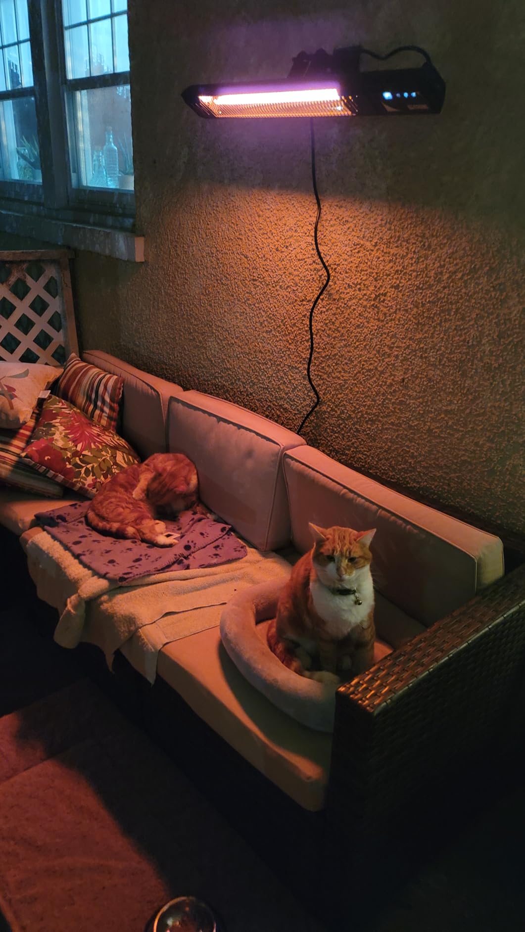 1500W Infrared Patio Heater, IP65 Waterproof Outdoor Electric Heater with Remote, 4 Heat Levels, 24H Timer, Memory Function, Fast Heating for Garage, Backyard, Black customer photo 2