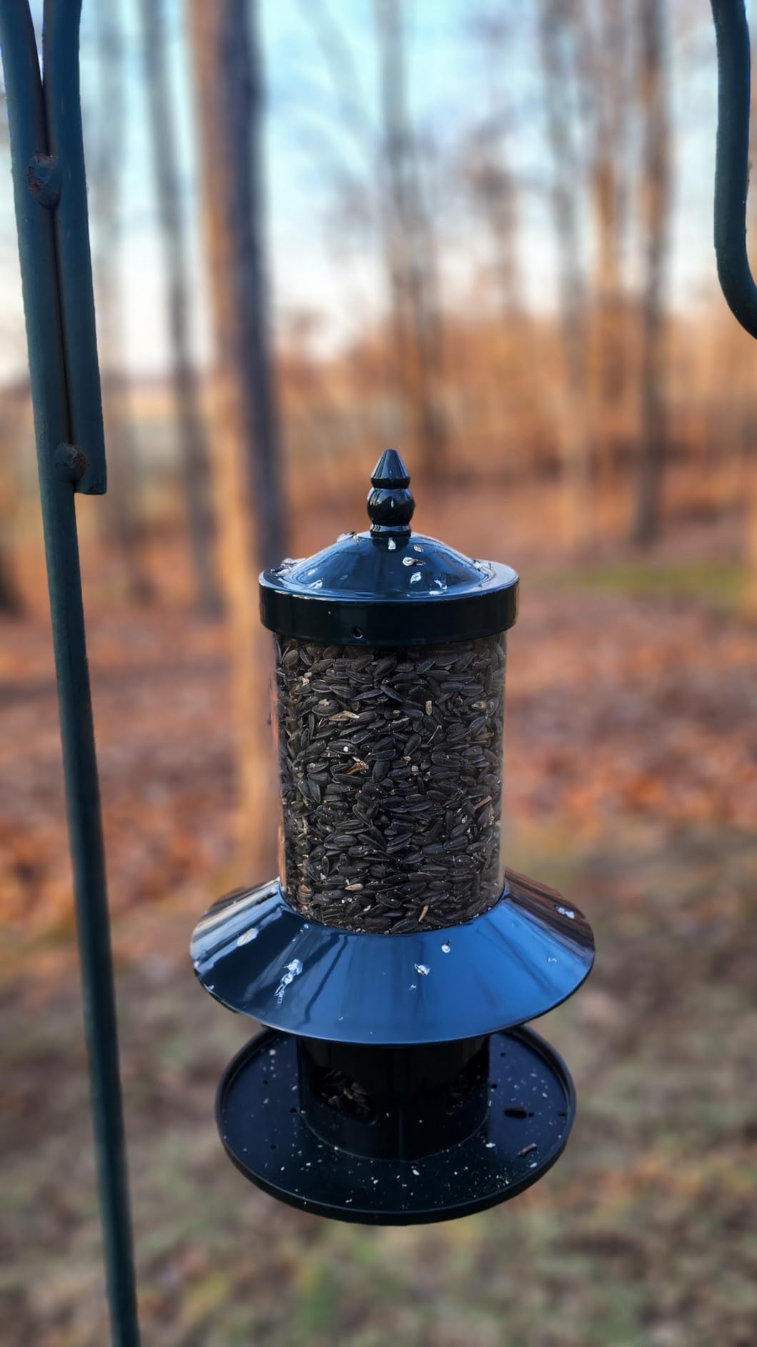 Squirrel Proof Bird Feeder - 360 Degree Feeding Perch Tray for Outdoor Hanging Wild Bird Seeds, Dark Green customer photo 1