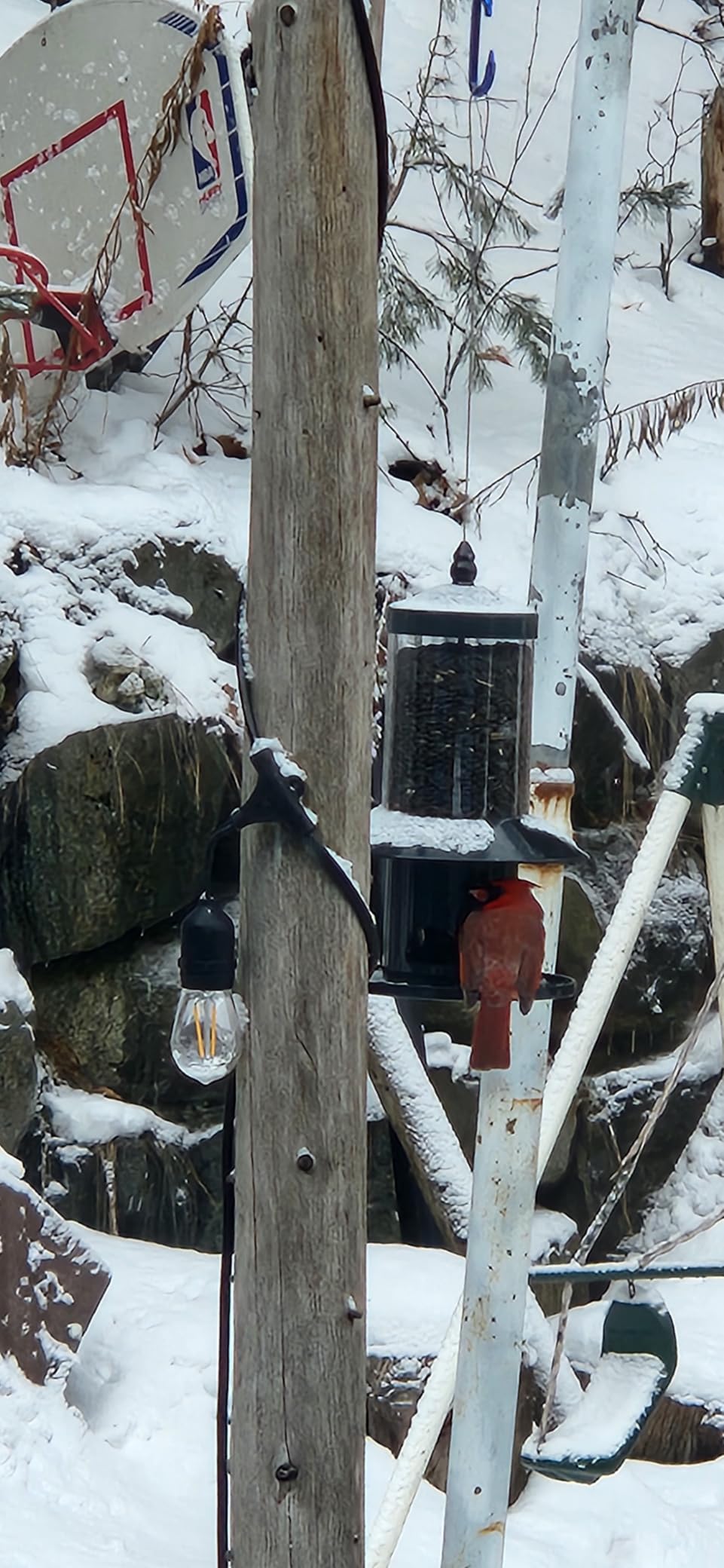 Squirrel Proof Bird Feeder - 360 Degree Feeding Perch Tray for Outdoor Hanging Wild Bird Seeds, Dark Green customer photo 2