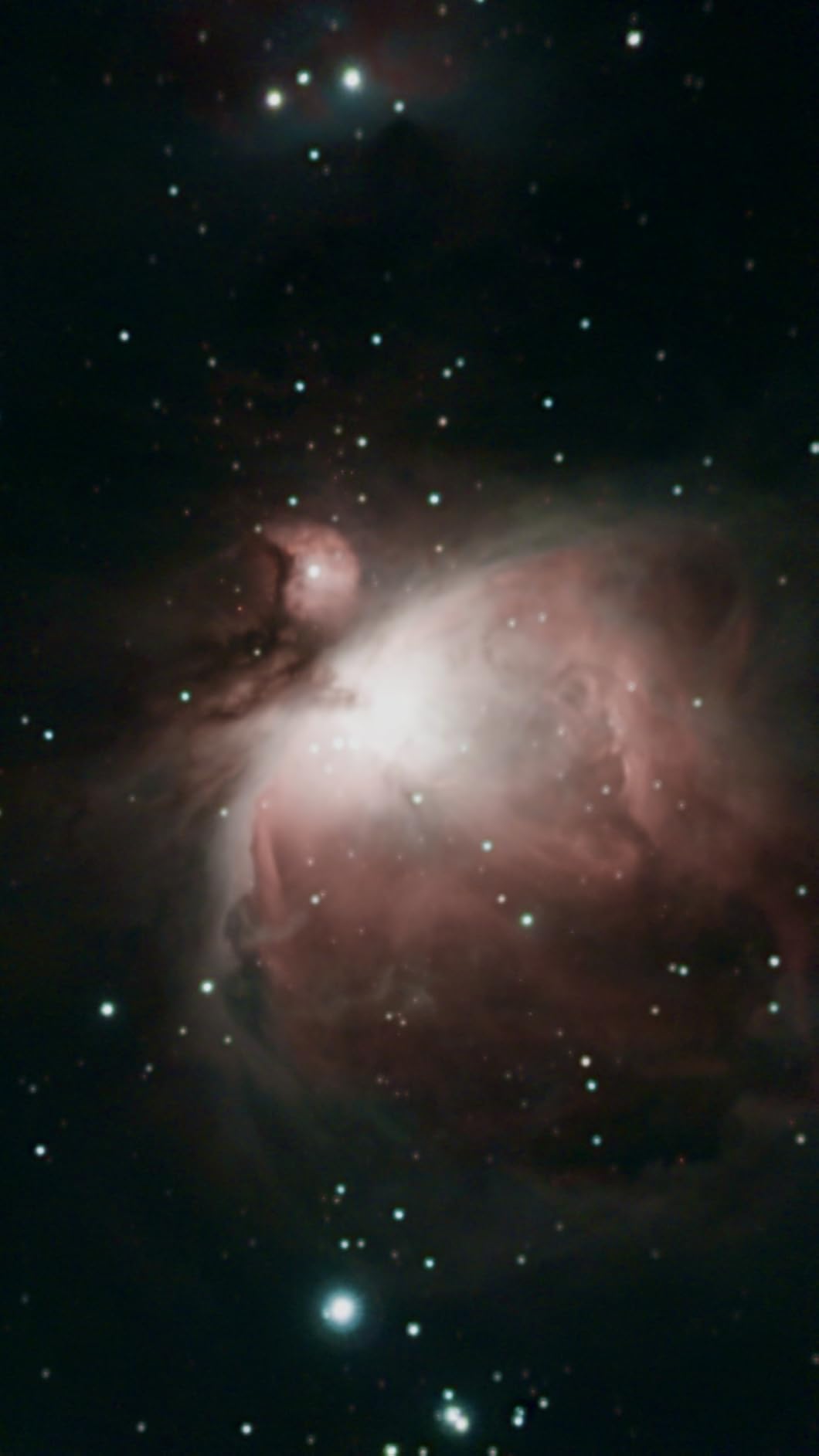 ZWO Seestar Fluid Tripod Head TH10 for Seestar Smart Telescope, Fluid Tripod Head for Equatorial Mode, 360° Pan & ±90° Tilt, Compatible with DSLR, Mirrorless & Video Cameras customer photo 1