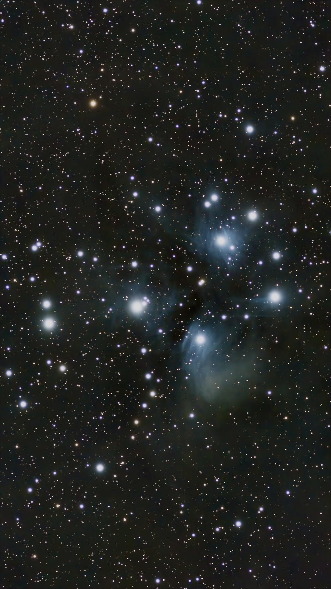 ZWO Seestar Fluid Tripod Head TH10 for Seestar Smart Telescope, Fluid Tripod Head for Equatorial Mode, 360° Pan & ±90° Tilt, Compatible with DSLR, Mirrorless & Video Cameras customer photo 2